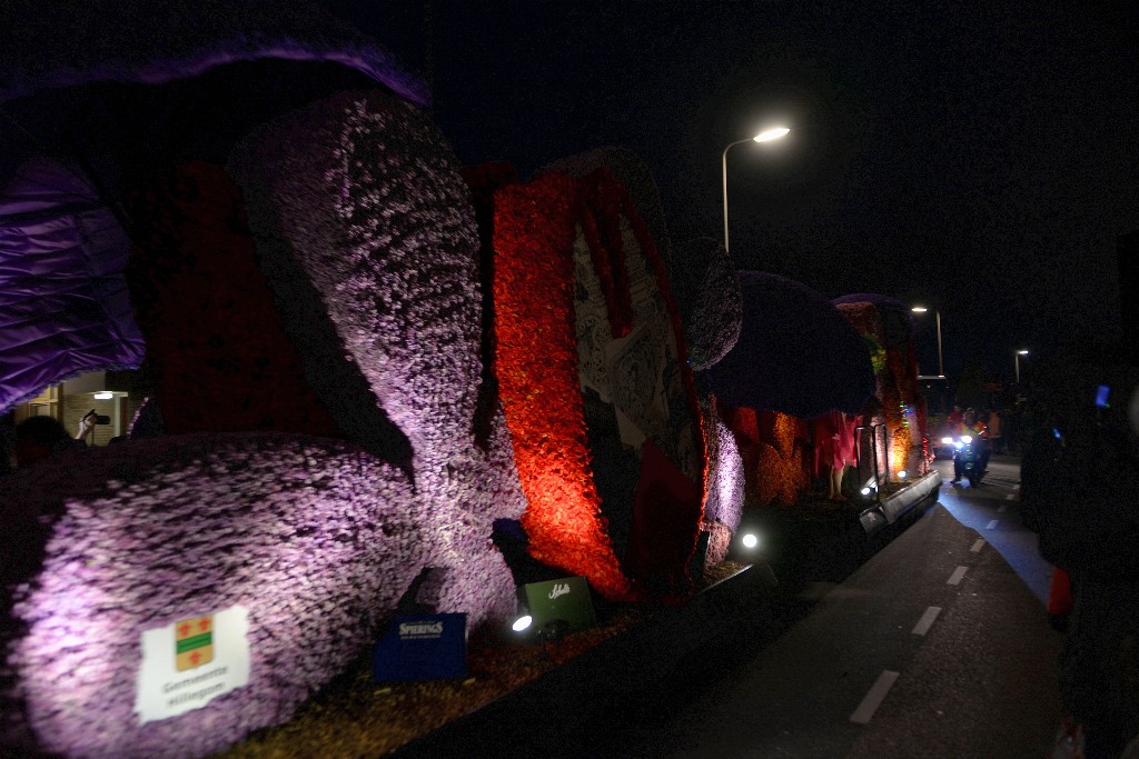 ../Images/Bloemencorso Noordwijkerhout 325.jpg